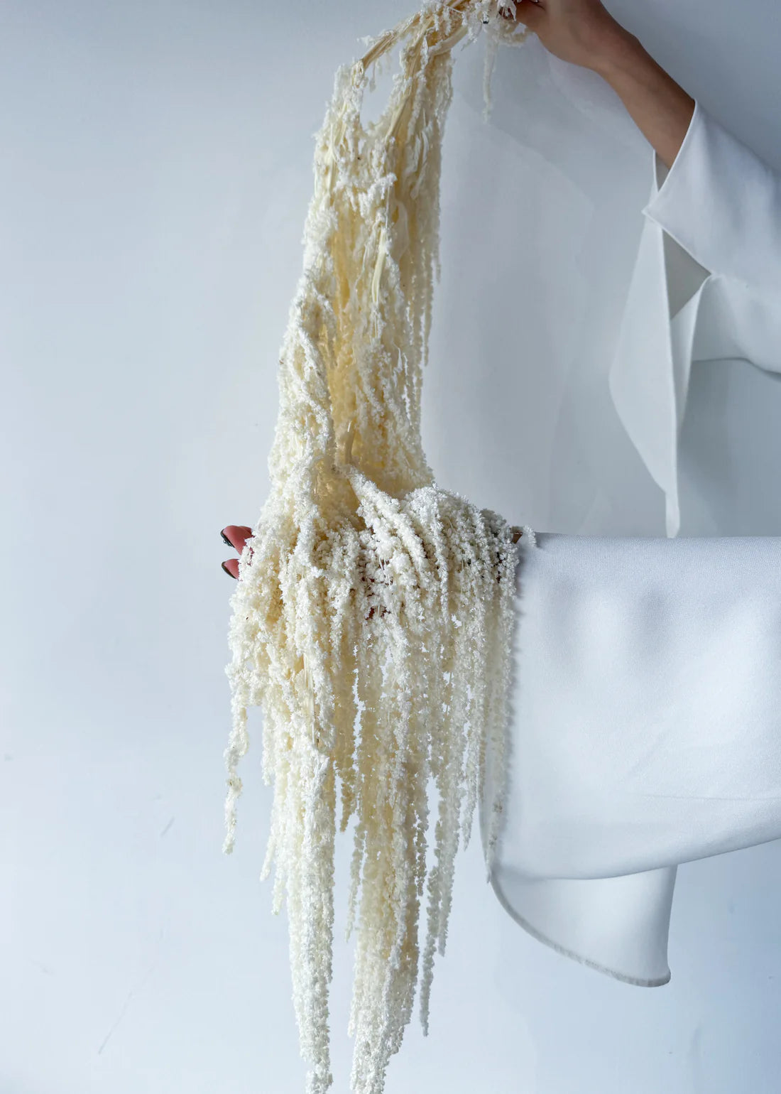 PRESERVED AMARANTHUS | IVORY WHITE
