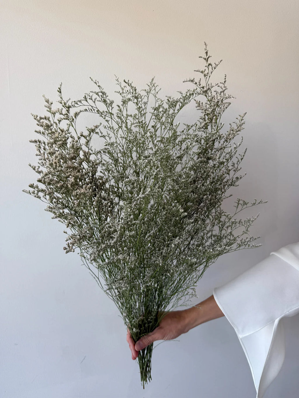 DRIED MISTY | NATURAL