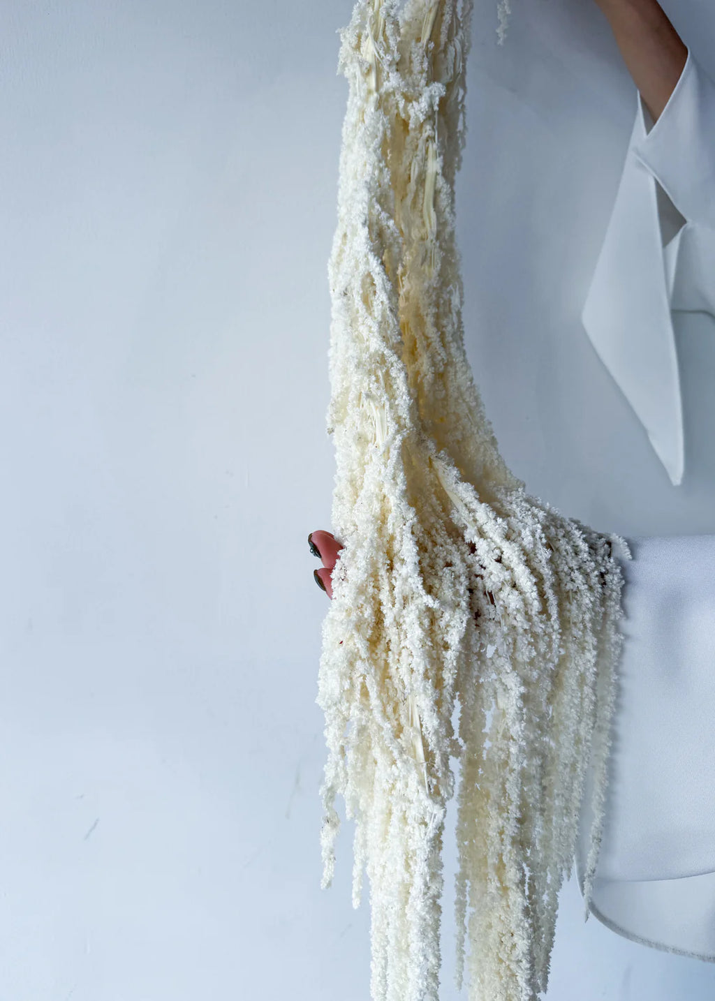PRESERVED AMARANTHUS | IVORY WHITE
