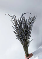 DRIED LAVENDER