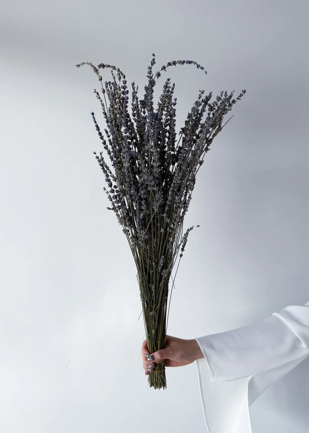 DRIED LAVENDER