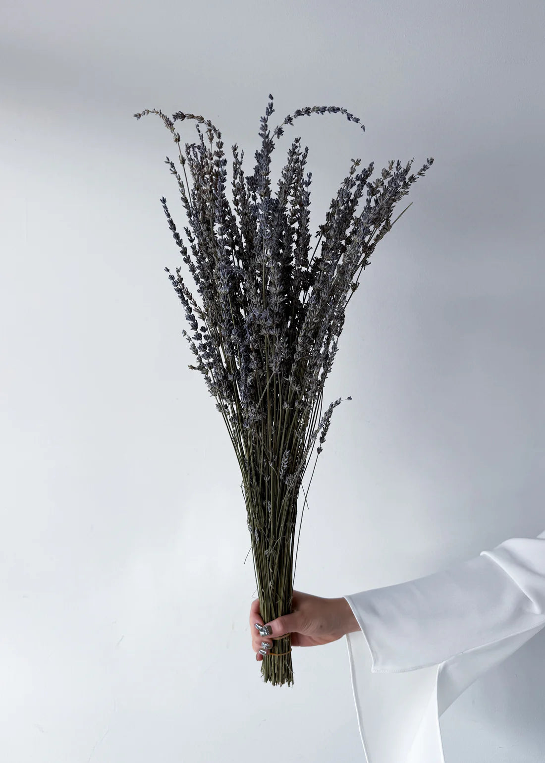 DRIED LAVENDER