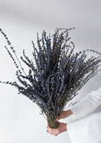 DRIED LAVENDER