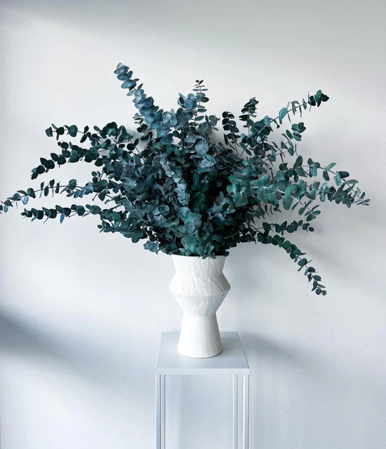 PRESERVED GUM | GREEN